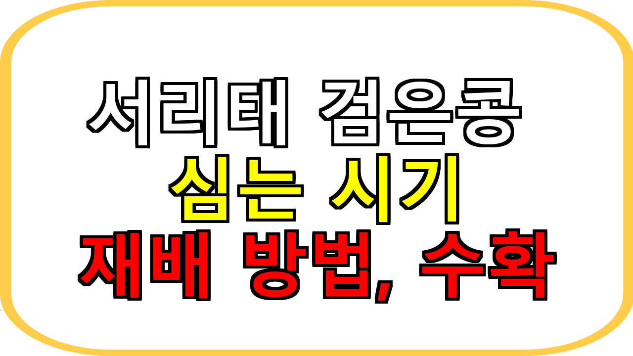 서리태 검은콩 심는시기